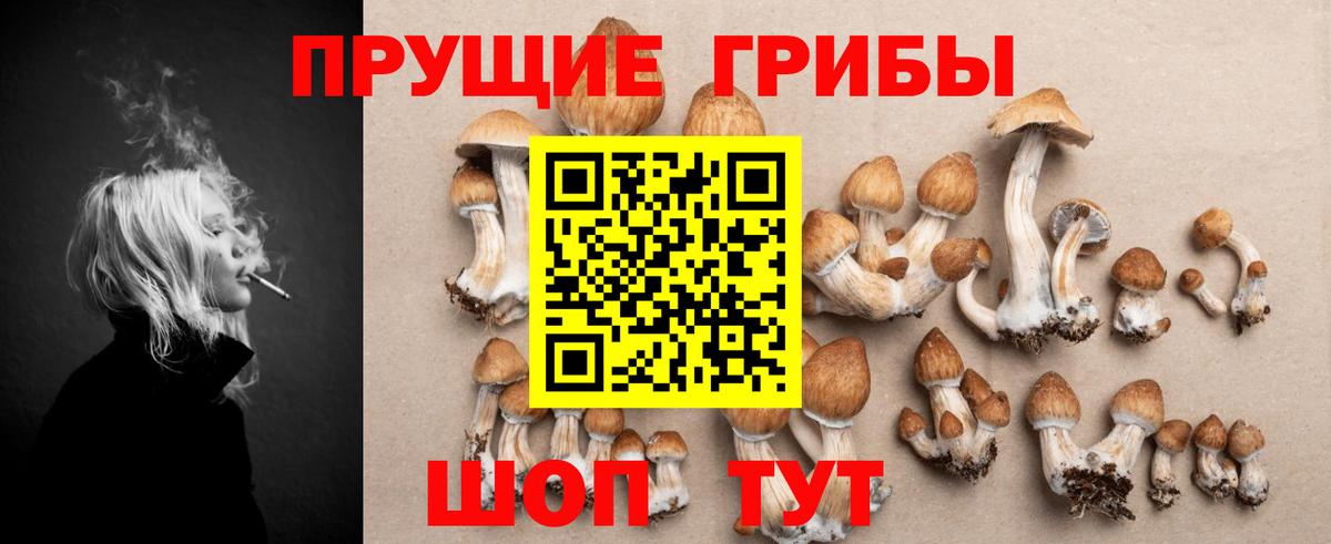 Галлюциногенные грибы мицелий  Вход с VPN  купить   Благовещенск  Галлюциногенные грибы Magic Shrooms 